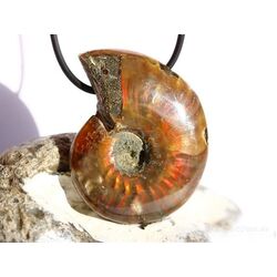 Ammonit XXXL Schmuckstein gebohrt (ganz - irisierend) - Sonderqualitt - ca. 4,7 cm x 3,6 cm x 1,3 cm