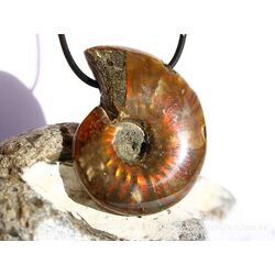 Ammonit XXXL Schmuckstein gebohrt (ganz - irisierend) - Sonderqualitt - ca. 4,7 cm x 3,6 cm x 1,3 cm