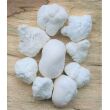 Magnesit-Knolle Wassersteine-Sonderqualität / Rohsteine extra angetrommelt - ca. 100 g (GKS)