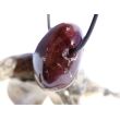Granat rot "Sterngranat" Almandin Trommelstein gebohrt - Sonderqualität - Rarität - ca. 2,6 cm x 2,2 cm x 1,6 cm - Sonderpreis wg. Makel -