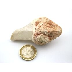 Bergkristall Zepterquarz / Szepterquarz Natur-Kristall -...