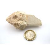 Bergkristall "Zepterquarz / Szepterquarz" Natur-Kristall - Rarität - ca. 7 cm x 3,7 cm x 3,1 cm