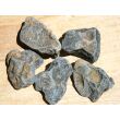 Stromatolith Wassersteine-Sonderqualität / Rohsteine extra angetrommelt - ca. 50 g (GKS)