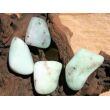 Chrysopras Wassersteine-Sonderqualität - Rarität - / Trommelsteine roh - ca. 50 g (GKS)