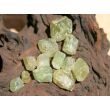 Apatit grün Kristalle / Rohsteine Wassersteine-A-Sonderqualität - Rarität - ca. 15 mm - ca. 4 g (GKS) - Restbestand -