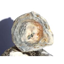 Chalcedon-Rosette Rohstein / Stufe - Sonderqualitt - ca....