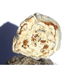 Chalcedon-Rosette Rohstein / Stufe - Sonderqualitt - ca. 4,1 cm x 3,7 cm x 1,1 cm (GKS)