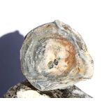 Chalcedon-Rosette Rohstein / Stufe - Sonderqualitt - ca....