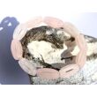 Rosenquarz Armband Navetten geschliffen - ca. 18 cm - Sonderqualität -