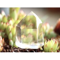 Bergkristall Kristallstab / Raumaufsteller - AA-Sonderqualität - Rarität - ca. 3,5 cm x 2,9 cm x 2 cm