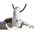 Regenbogenmondstein "Schimmer" XL Trommelstein gebohrt (Labradorit weiß) - Sonderqualität - ca. 3,7 cm x 2 cm x 2 cm - Sonderpreis wg. Makel -