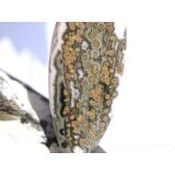 Ozeanachat XXXL Schmuckstein Cabochon / Scheibenstein gebohrt (Ozeanchalcedon / Ozeanjaspis) - Sonderqualität - ca. 6,9 cm x 2,4 cm x 1 cm