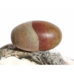 Shiva Lingam Ei (Sandstein/Tonstein) Trommelstein - Sonderqualitt - ca. 2,9 cm x 1,8 cm (GKS)