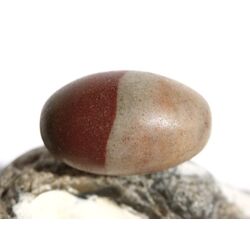 Shiva Lingam Ei (Sandstein/Tonstein) Trommelstein - Sonderqualitt - ca. 2,9 cm x 1,8 cm (GKS)