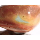 Polychrom-Jaspis (Polychromjaspis) XXL Trommelstein / Handschmeichler - Sonderqualität - ca. 4,2 cm x 3,6 cm x 3,1 cm (GKS)