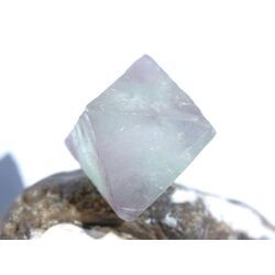 Fluorit bunt (gr�n-violett) Kristall / Oktaeder / Rohstein - Sonderqualit�t - ca. 3,7 cm x 3,3 cm x 3,2 cm