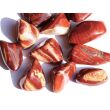 Schlangenhautjaspis (Jaspis rot) Trommelsteine - Sonderqualität - ca. 3,5 - 4 cm / ca. 11 g/St (GKS)