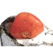 Karneolachat (gebr.) XXL Trommelstein (Carneol) - Sonderqualität - ca. 4,2 cm x 3,7 cm x 1,5 cm