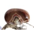 Karneolachat (gebr.) XXL Trommelstein / Handschmeichler (Carneol) - ca. 4,2 cm x 2,8 cm x 2,2 cm