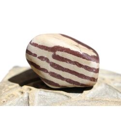 Zebra Rock Trommelstein natur / Rohstein - ca. 2,8 cm x...
