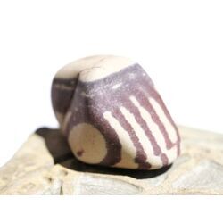 Zebra Rock Trommelstein natur / Rohstein - ca. 2,8 cm x 1,9 cm x 1,8 cm (Fairer Handel/GKS)