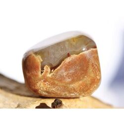 Australischer Amulettstein Trommelstein  (Donnerei / Sternachat / Thunderegg) - AA-Sonderqualitt - Raritt - ca. 2,5 cm x 2,1 cm x 1,9 cm