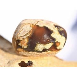 Australischer Amulettstein Trommelstein (Donnerei / Sternachat / Thunderegg) - Sonderqualitt - Raritt - ca. 3,2 cm x 2,3 cm x 2,3 cm