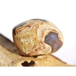 Australischer Amulettstein Trommelstein (Donnerei / Sternachat / Thunderegg) - Sonderqualitt - Raritt - ca. 3,2 cm x 2,3 cm x 2,3 cm
