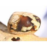 Australischer Amulettstein Trommelstein (Donnerei /...