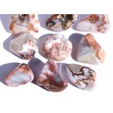Achat rot (Fleischachat) Trommelstein - Sonderqualitt -...
