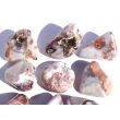 Achat rot-weiß / weiß-rot (Fleischachat) Trommelsteine - Sonderqualität -  ca. 2,6 - 3,6 cm / ca. 11-15 g/St